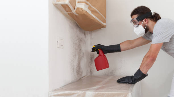 Attic Mold Remediation treatment on roof deck in Gallitzin